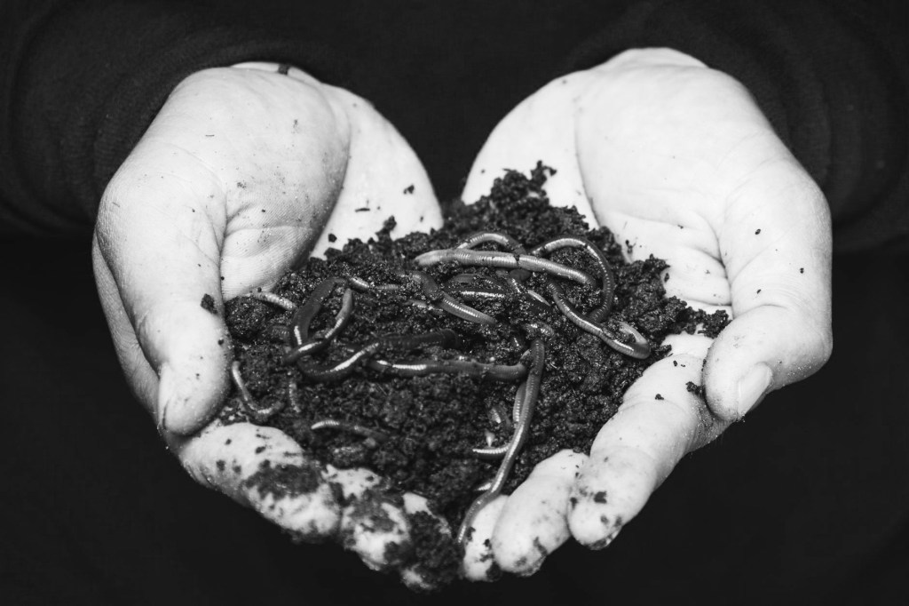 The Sacred Ordinary: Would You Love Me If I Were a&nbsp;Worm?